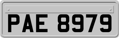 PAE8979