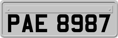 PAE8987
