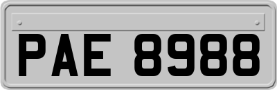 PAE8988