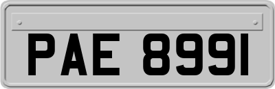 PAE8991