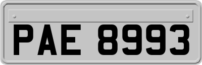 PAE8993
