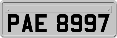 PAE8997