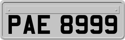 PAE8999