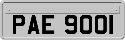 PAE9001