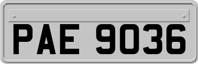 PAE9036