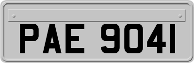 PAE9041