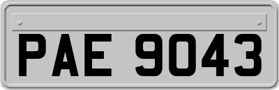 PAE9043