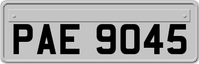 PAE9045