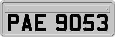 PAE9053