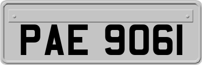PAE9061