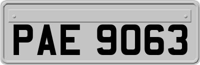 PAE9063