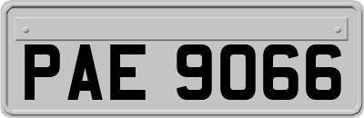 PAE9066