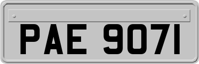 PAE9071