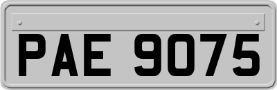 PAE9075
