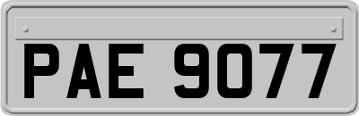 PAE9077