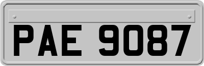 PAE9087
