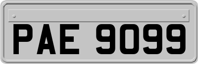 PAE9099