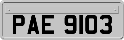 PAE9103