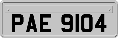 PAE9104