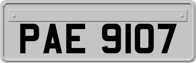 PAE9107