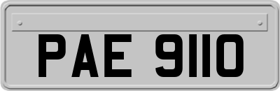 PAE9110