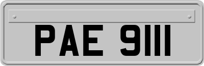 PAE9111