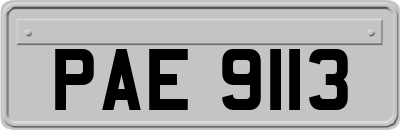 PAE9113
