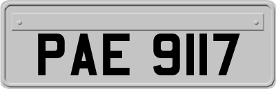 PAE9117