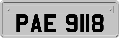 PAE9118