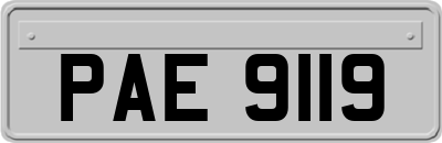 PAE9119