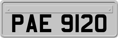 PAE9120