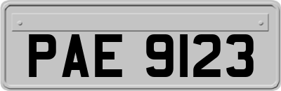 PAE9123