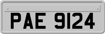PAE9124