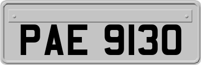 PAE9130