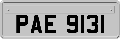 PAE9131