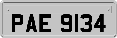 PAE9134