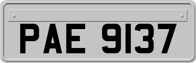 PAE9137