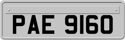 PAE9160