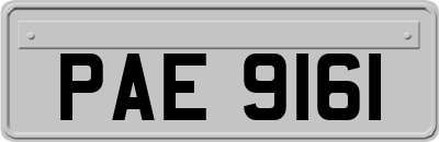 PAE9161
