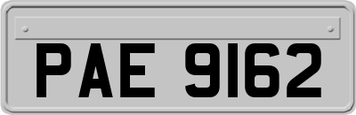 PAE9162