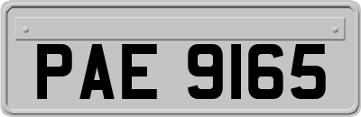 PAE9165