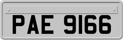 PAE9166