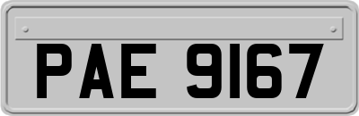 PAE9167
