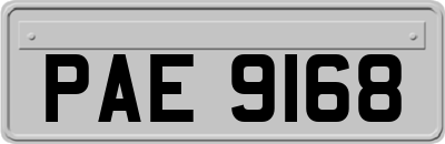 PAE9168