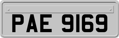 PAE9169