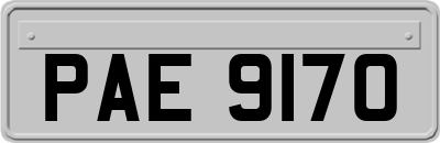 PAE9170