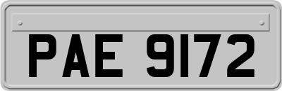 PAE9172