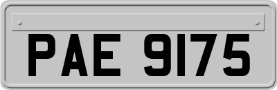 PAE9175