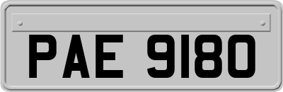 PAE9180