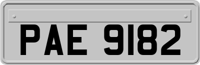 PAE9182